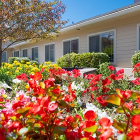 Garden with bright red flowers